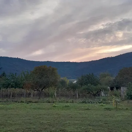 Papp Vendeghaz Dom wakacyjny Balatonederics